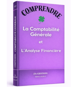 Comprendre la Comptabilité et l&rsquo;Analyse Financière