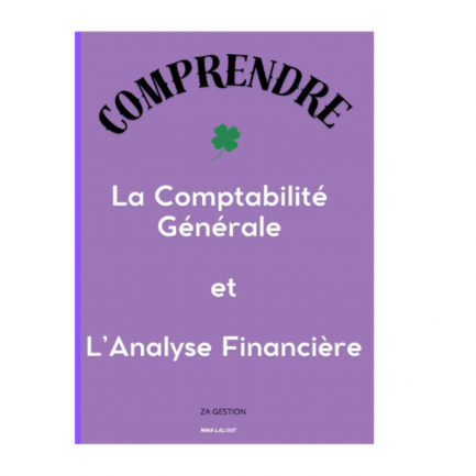 Comprendre la Comptabilité et l'Analyse Financière